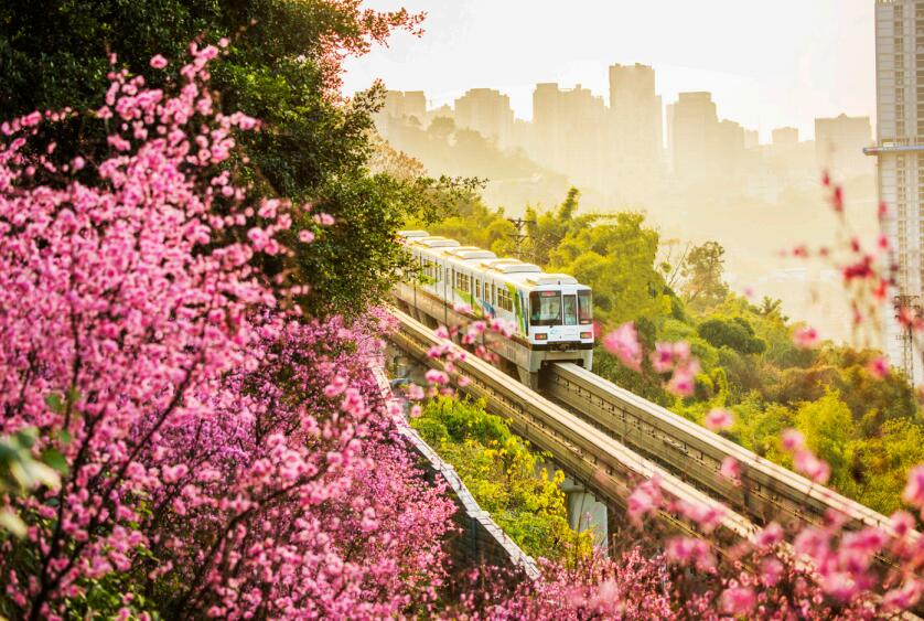 2月27日，重慶軌道交通5號線北延伸段建成通車，標志著世界規模最大的山地城市軌道交通 運營網絡建成。