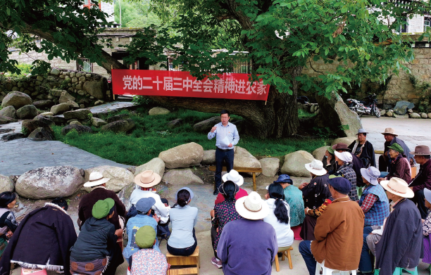2024年7月23日，在四川省甘孜州稻城縣香格里拉鎮熱光村的百年核桃樹下，瀘州幫扶 稻城工作隊領隊向當地群眾宣講黨的二十屆三中全會精神。