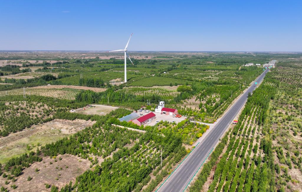 在內蒙古通遼市，科爾沁沙地正漸漸披上綠裝。新華社記者連振 攝