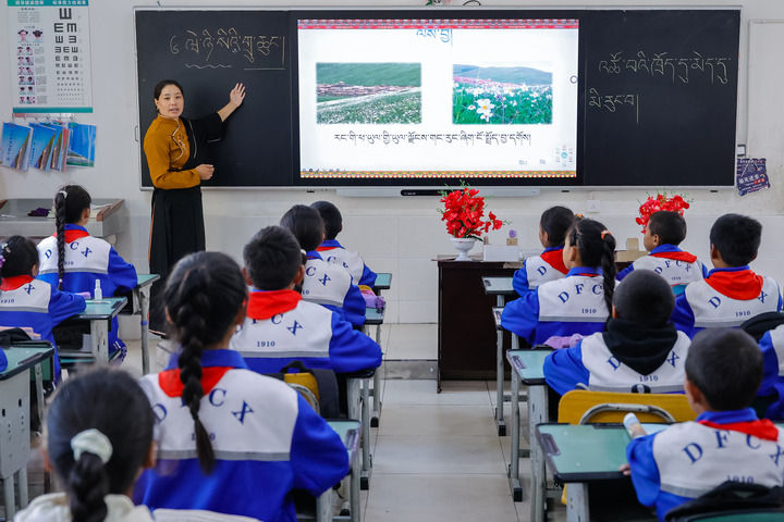 2024年9月27日，在四川省甘孜藏族自治州道孚縣城關第一完全小學，采取“藏加模式”教學的五年級一班的藏語文課上，準木周老師指導藏族學生以家鄉草原風物為主題寫作藏語文作文。新華社記者 沈伯韓 攝